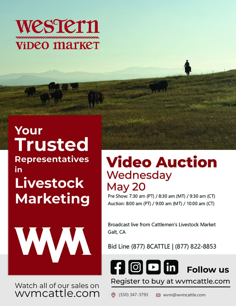 May 20, 2026 - Cattlemen's Livestock Market | Galt, CA