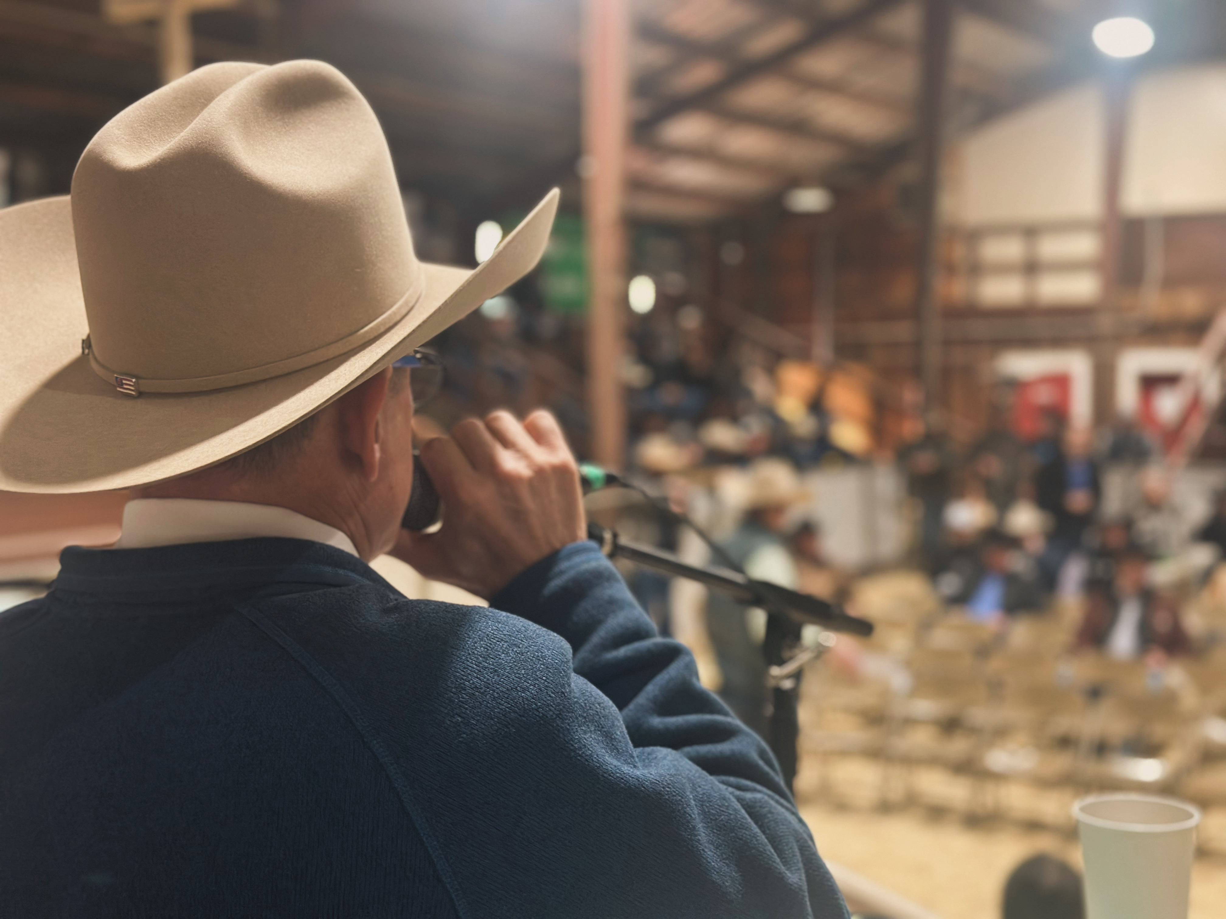 Western Video Market and CCI.live Partner to Provide a Full-Service Livestock Marketing Platform